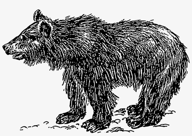 How To Set Use Bear Cub Icon Png - Bear Drawing Png, transparent png download