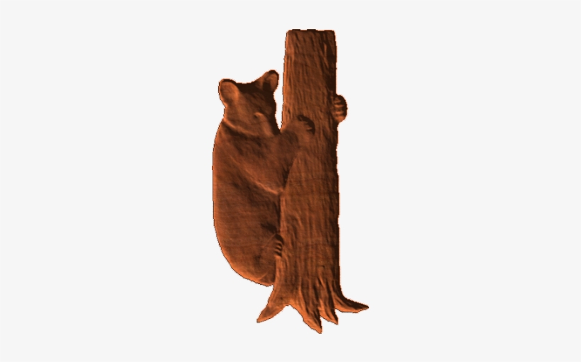 Cat, transparent png download