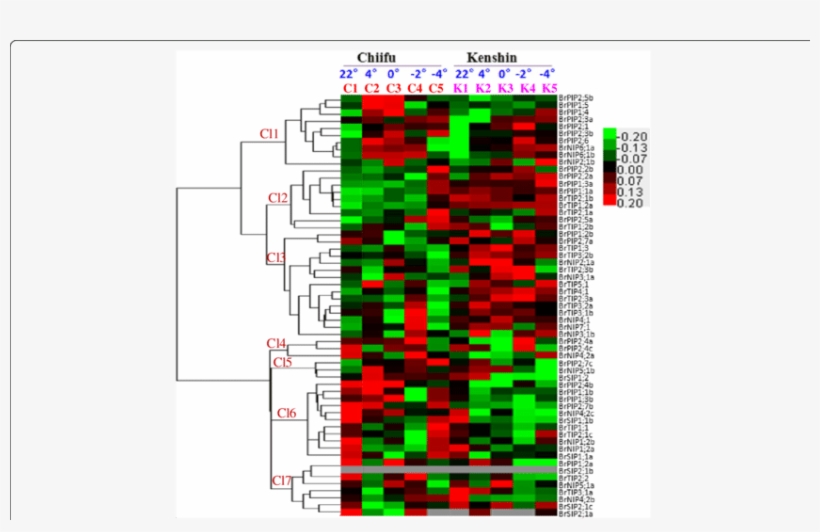 C And K Indicate Chiifu And Kenshin, Respectively, - Common Fig, transparent png download