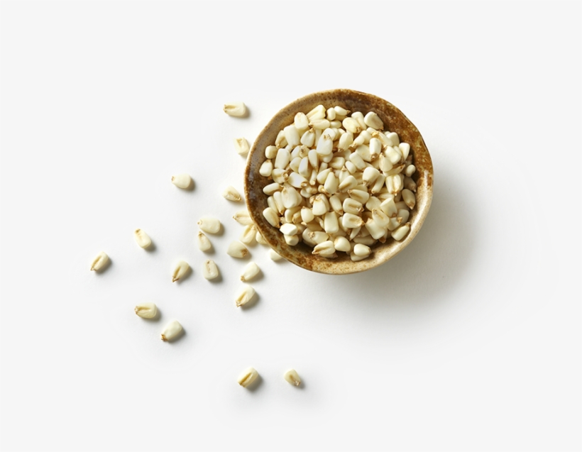 Hominy, transparent png download
