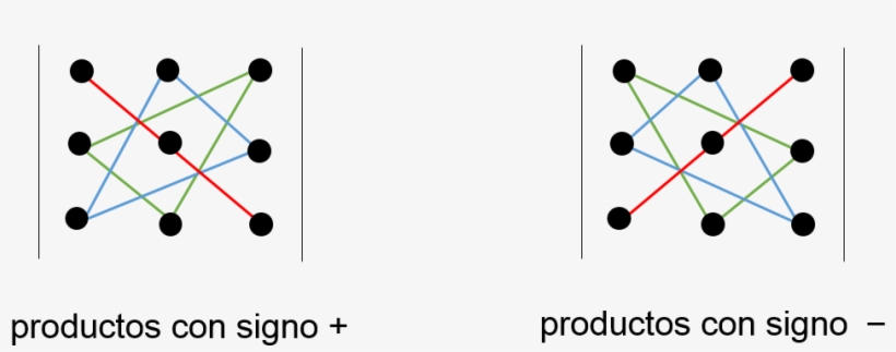 Regla De Sarrus - Human T Cell Clones, transparent png download