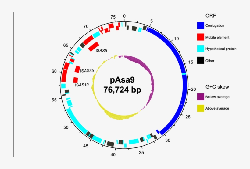 The Pasa9 Sequence And Features Were Visualized With - Map, transparent png download