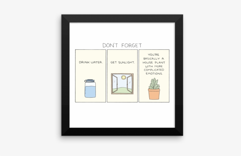 "don't Forget" Print - Don T Forget To Drink Water And Get Sunlight, transparent png download