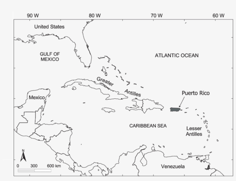 Location Of Puerto Rico In The Caribbean Basin - Map Of The Caribbean, transparent png download