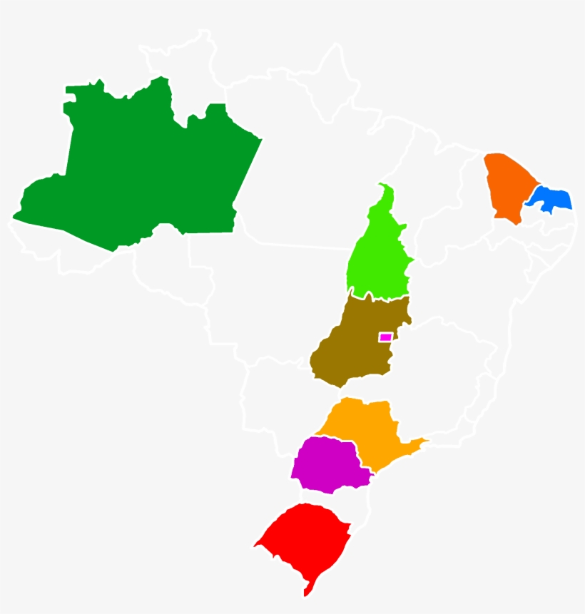 Representatives Of The Nikola Tesla Institute On The - Regions Of Brazil, transparent png download