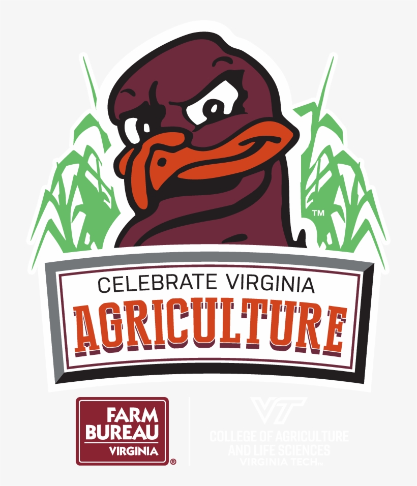 Virginia Tech - Farm Bureau Insurance, transparent png download