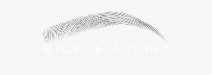 Reconstrucción De Cejas Dibujadas Pelo A Pelo Hiperrealista - Sketch, transparent png download