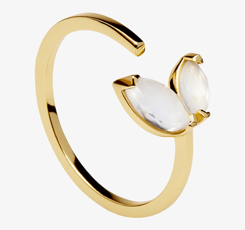 Ares Gold Ring - Ring, transparent png download