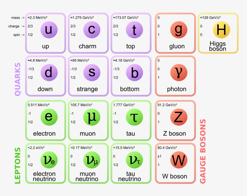 As Novas Medições Mostram Que Apenas Um Punhado De - Standard Model Of Particle Physics, transparent png download