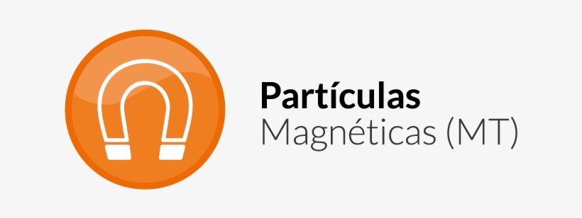 Descripción Del Curso - De L'éminente Dignité Des Pauvres, transparent png download