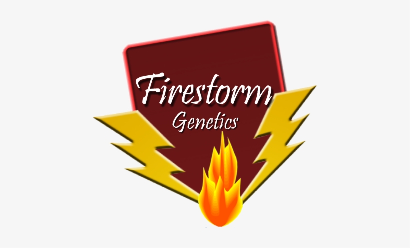 Shrimp Sale At The Crab Crib Magnet, transparent png download