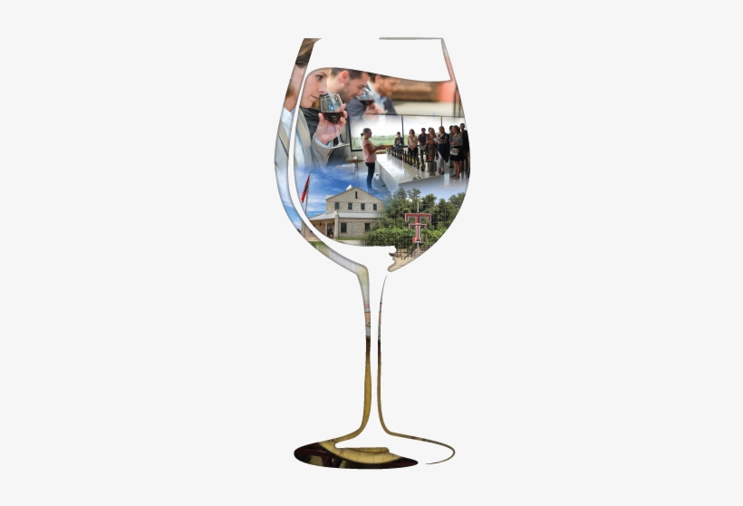 Contact Ttu - Champagne Stemware, transparent png download