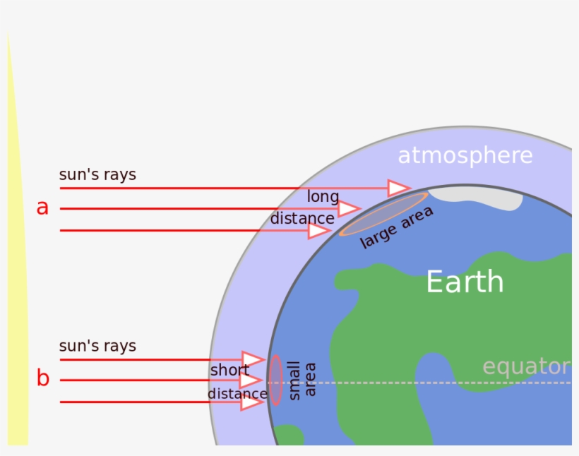 Tropical Rainforest So Hot, transparent png download