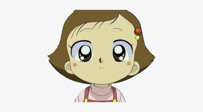 โคชิ หรือ โคชิคุง เพศผู้ เกิดวันที่ 3 พฤษภาคม ราศีเมษ - Hamtaro Mimi, transparent png download