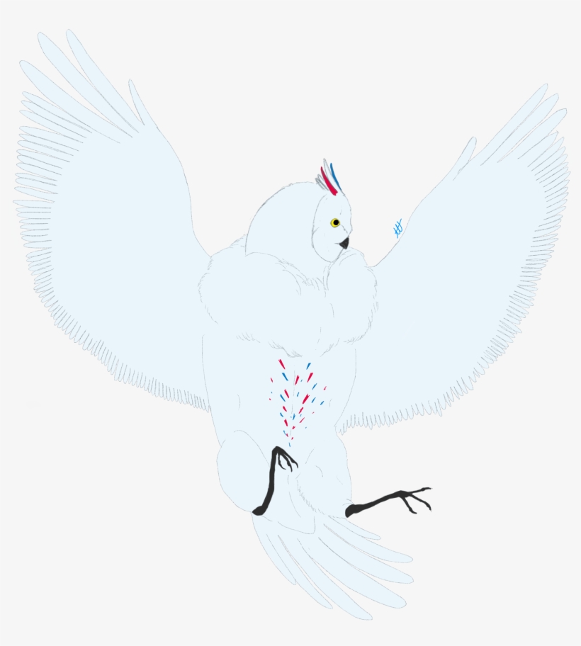 Day - Pigeons And Doves, transparent png download