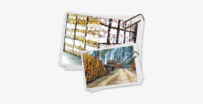 Stacks Of Firewood - Firewood, transparent png download