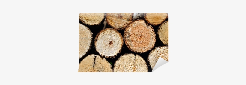 Pile Of Round Stacked Logs For Firewood Wall Mural - Lumber, transparent png download