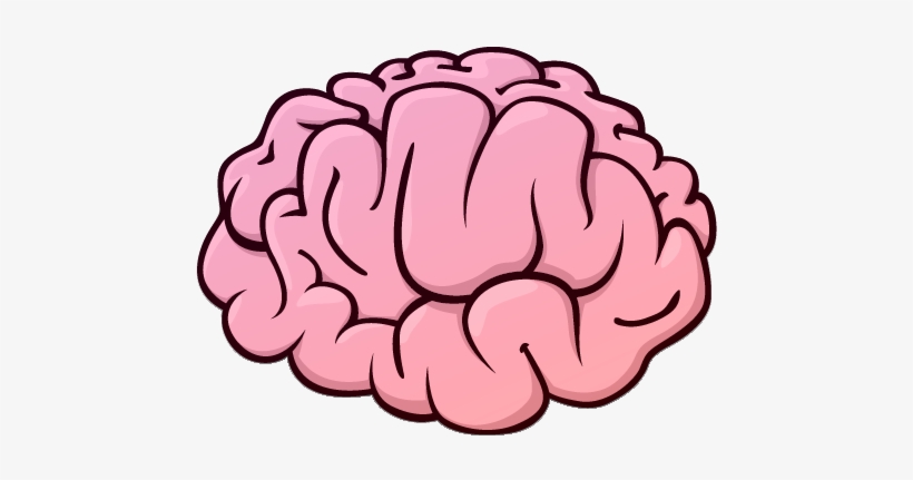 Cerebro Caricatura Png - Brain Icon, transparent png download