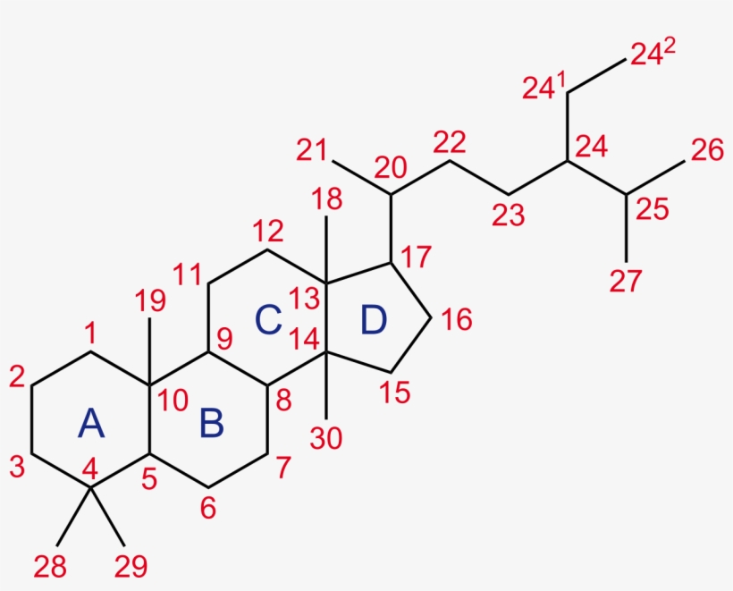 File - Trimethyl Stero - Anabolic Androgenic Steroid, transparent png download