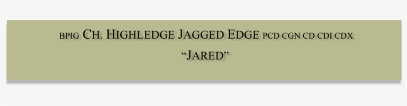 Highledge Jagged Edge Pcd Cgn Cd Cdi Cdx “jared” - Department Of Canadian Heritage, transparent png download
