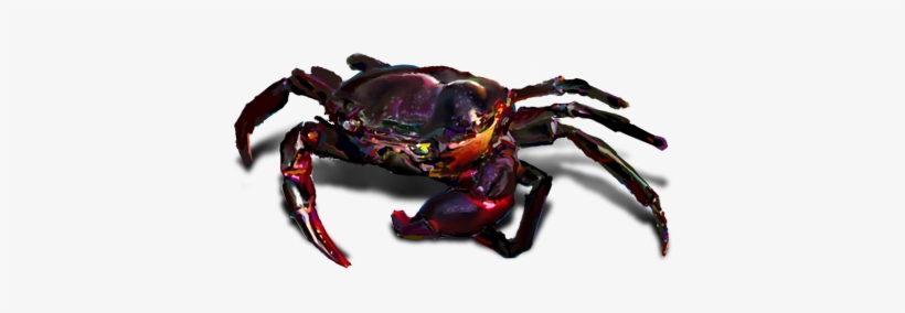 Puu - Fiddler Crab, transparent png download