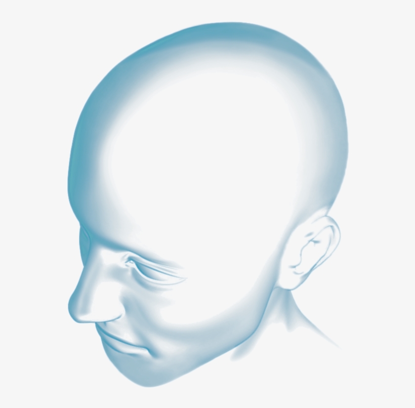 Copyright © 2013 Cerebro Neuro Studios, Inc - Mindset, transparent png download