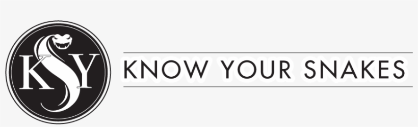 Picture - Line Art, transparent png download