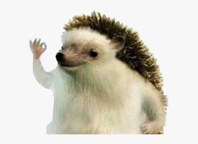 Perodua all new mini SUV inkambing