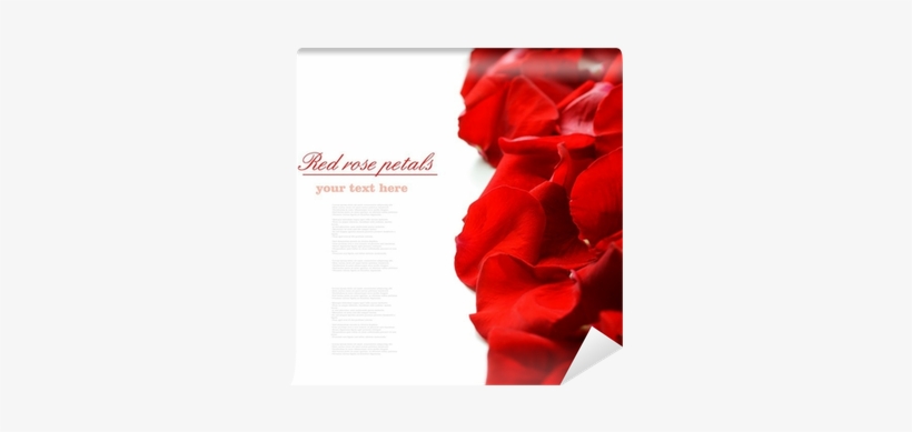 Mural, transparent png download