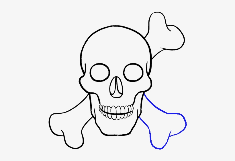 How To Draw A Skull - Drawing, transparent png download
