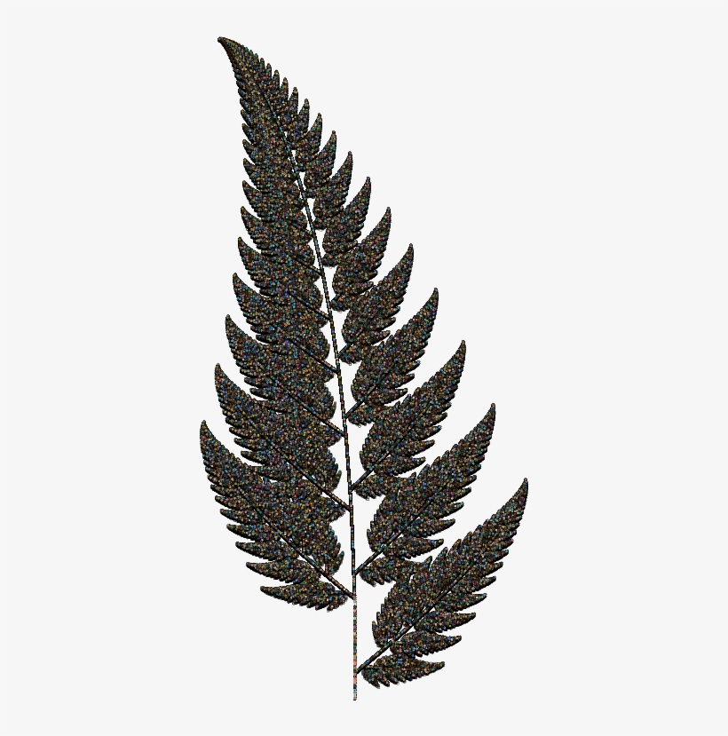 Fern4b - Pond Pine, transparent png download