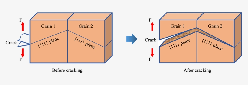 Crack Propagation Through Grains With Different Orientation - Science, transparent png download