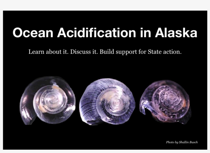 Over 100 Interested Citizens, Stakeholders And Experts - Ocean Acidification In Alaska, transparent png download