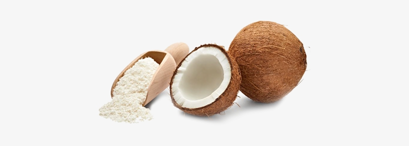 About Us - Desiccated Coconut Powder, transparent png download