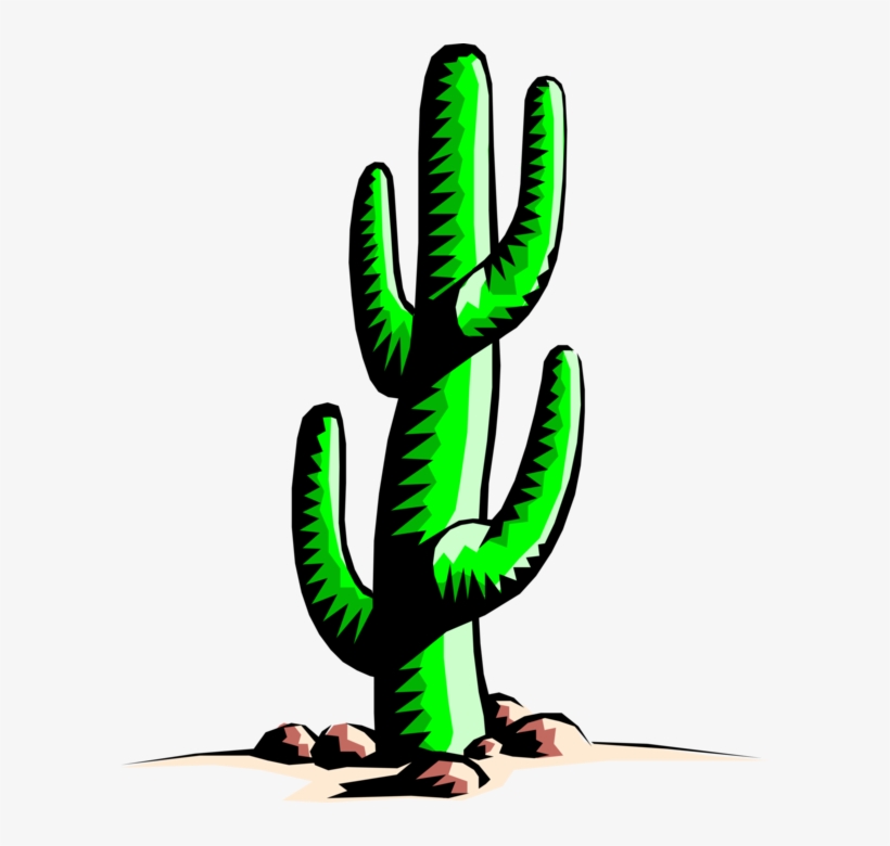 Graphic Library Stock Desert Plant Image Illustration, transparent png download