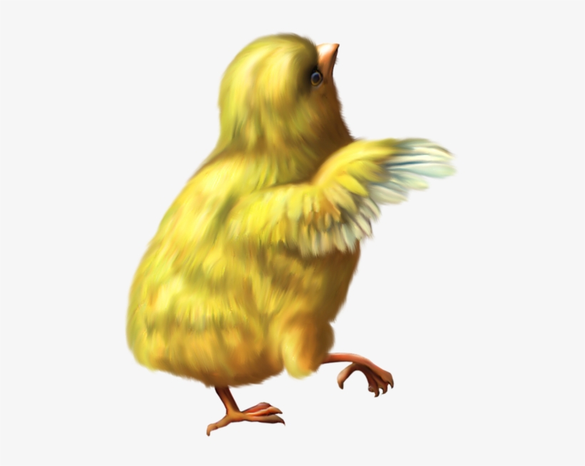 0, - Easter Gif Png, transparent png download