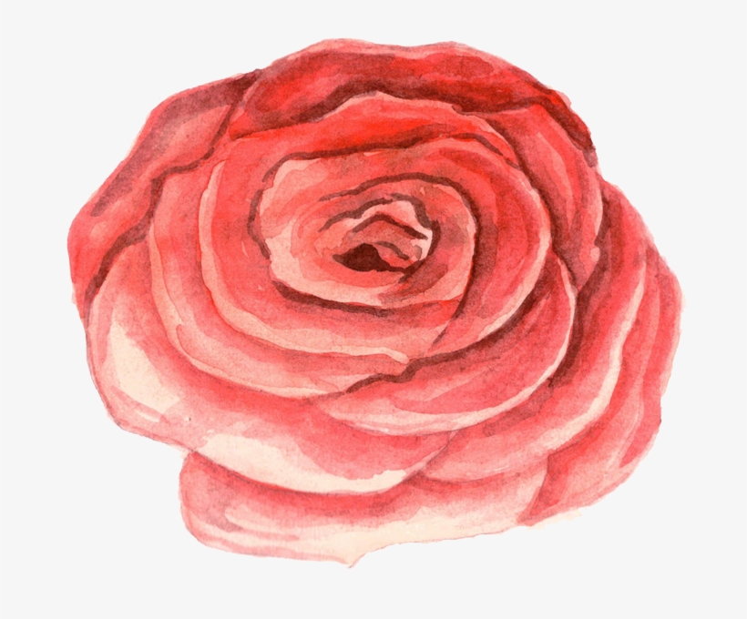 Watercolour Flowers Watercolor Painting Stock Photography - Watercolor Painting, transparent png download