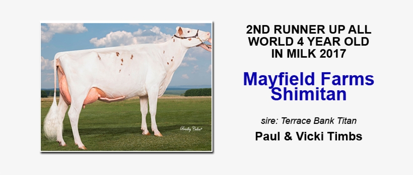 Selling At The Leading Edge Genetics Sale March 20th, transparent png download