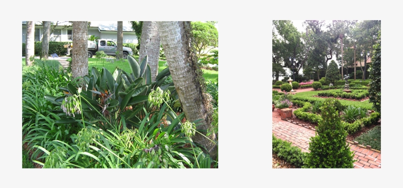 Lawn, transparent png download