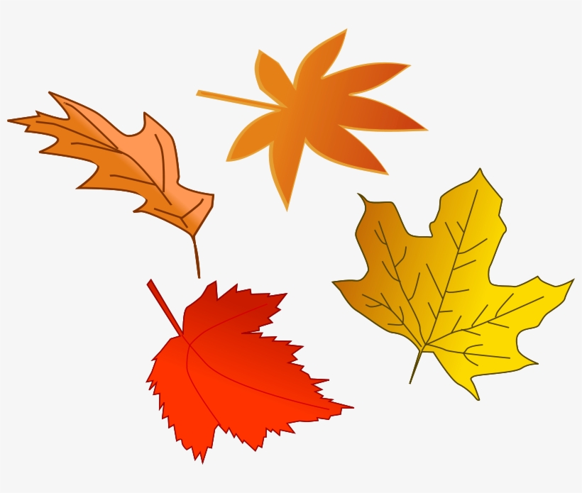 Illustration Of Colorful Autumn Leaves - Leaves Clipart, transparent png download
