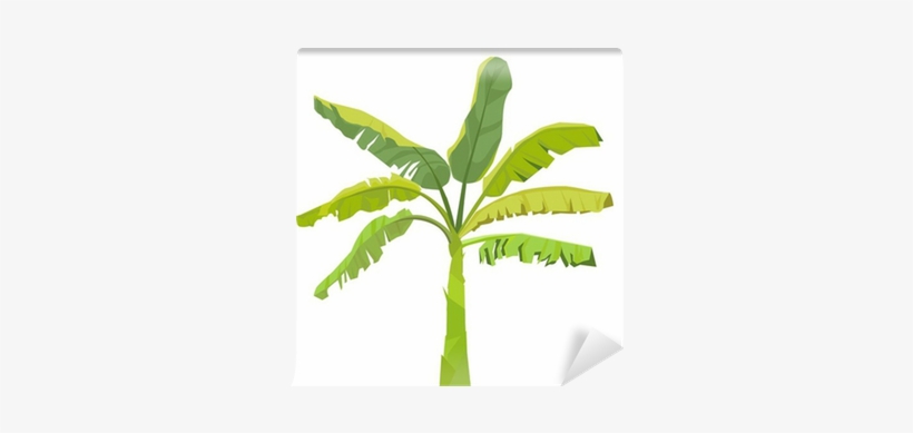 Banana Tree Leaf Vector, transparent png download
