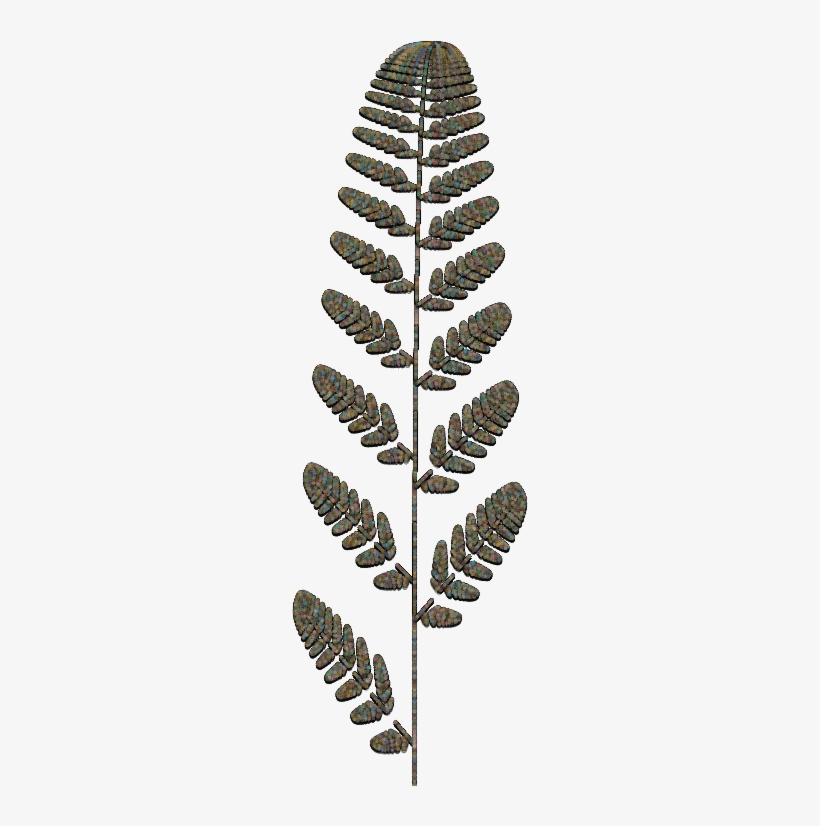 Fern3 - Ostrich Fern, transparent png download