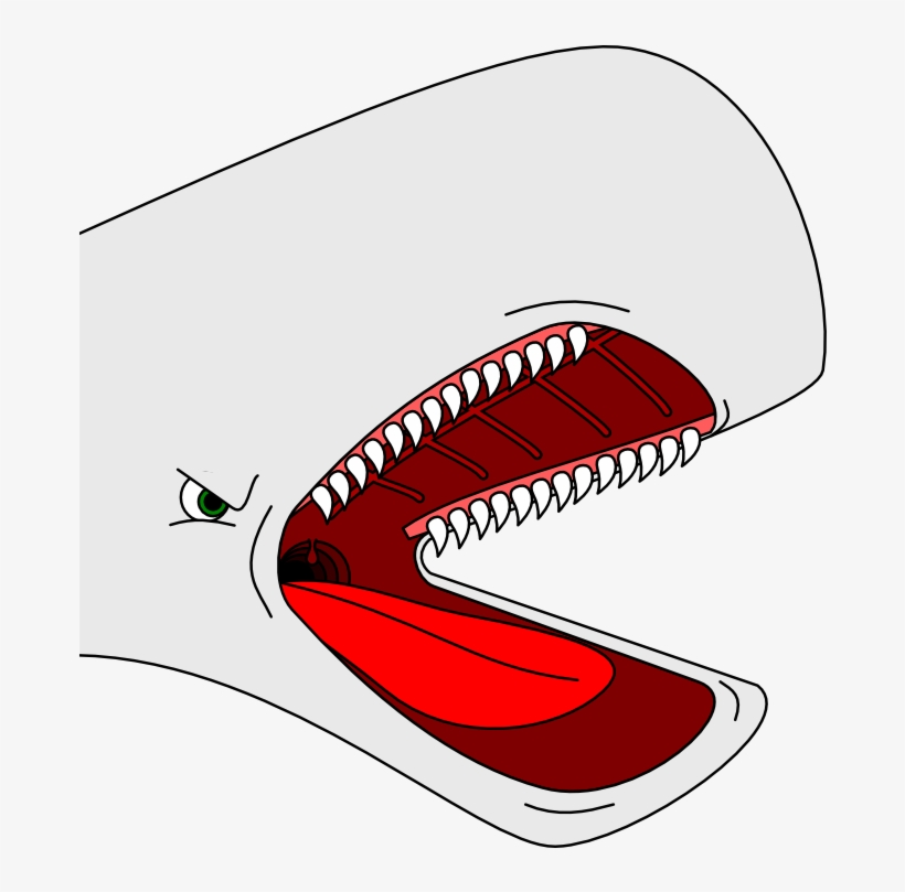 Stereotyped Cartoon Whale Head By Arek-91 On Clipart - Transparent Whale Head, transparent png download