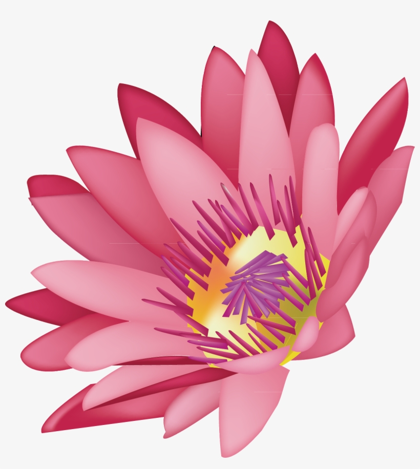 Svg Library Stock Lotus Decoration Design Graphics - Lotus Flower Vector, transparent png download