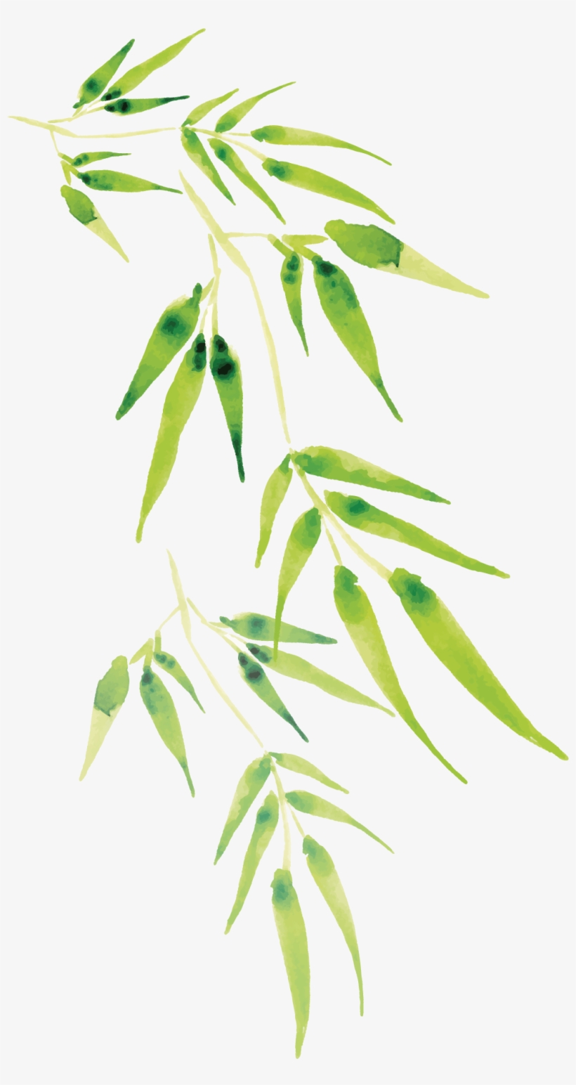 Cartoon Bamboo Transprent Png - Vinyl Banner: 24" Wide X Up To 96" Tall, transparent png download