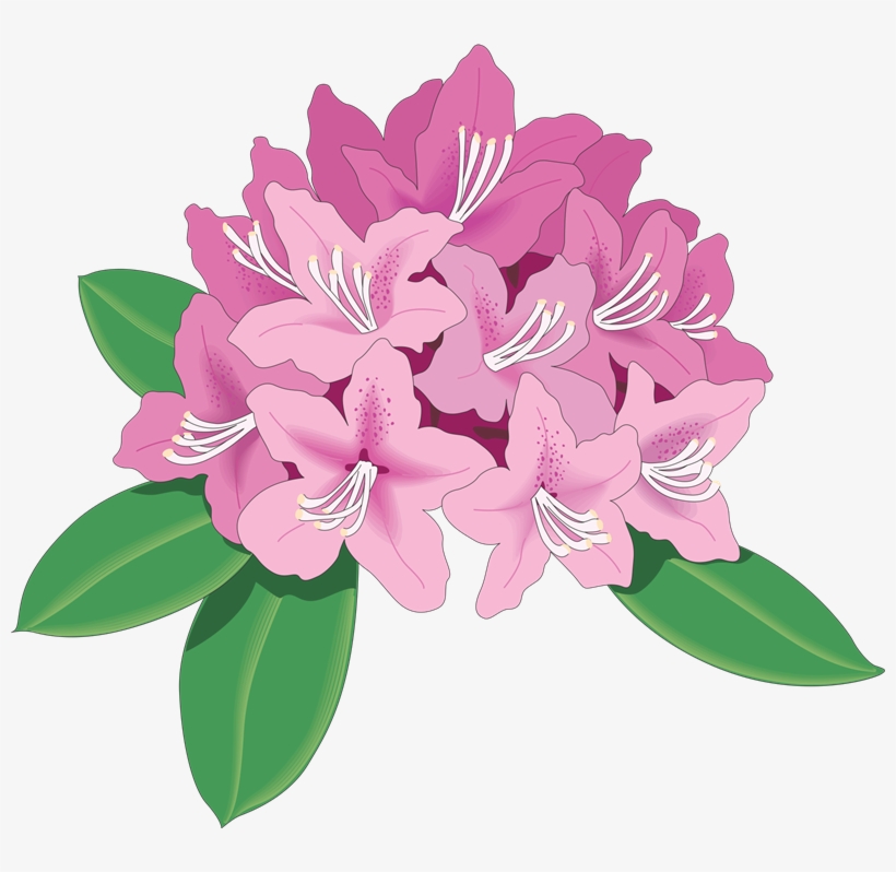 Library Rhododendron Clip Art Flower Transprent Png - Rhododendron Clip Art, transparent png download