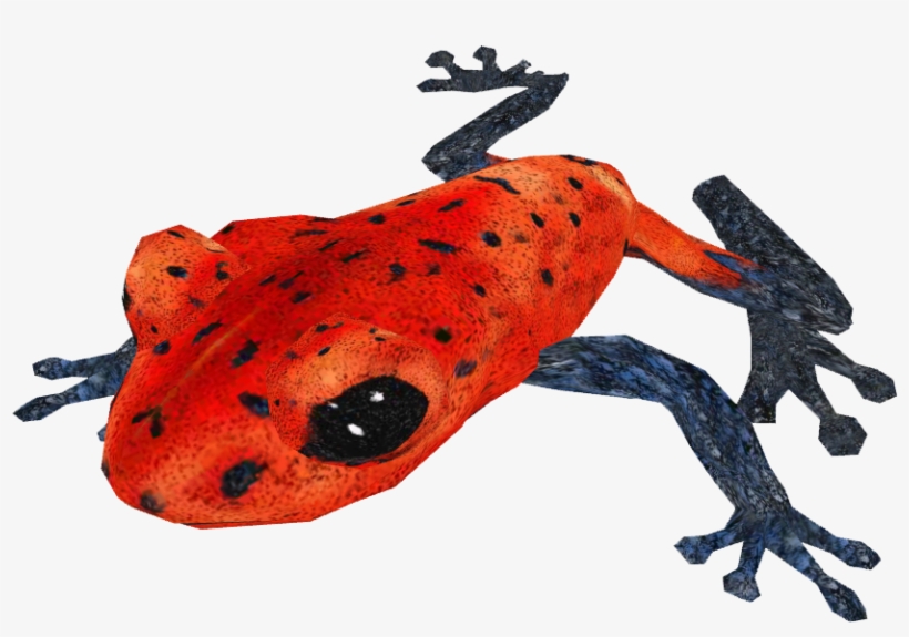 Poison Dart Frog Png Transparent Hd Photo - Poison Dart Frog Png, transparent png download