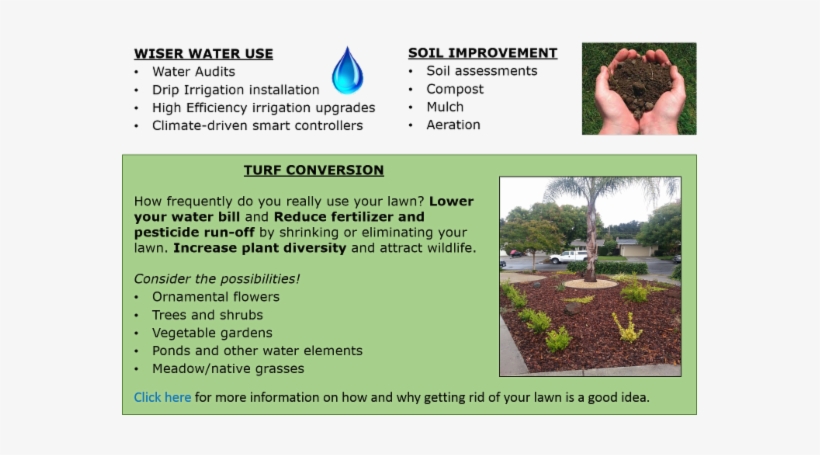 Liveplanet Offers A Variety Of Yard And Home Maintenance - Liveplanet, transparent png download