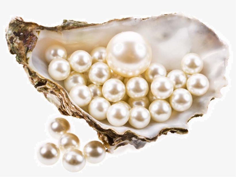 Pearl Transparent Background - Cultural Heritage Of Dubai, transparent png download