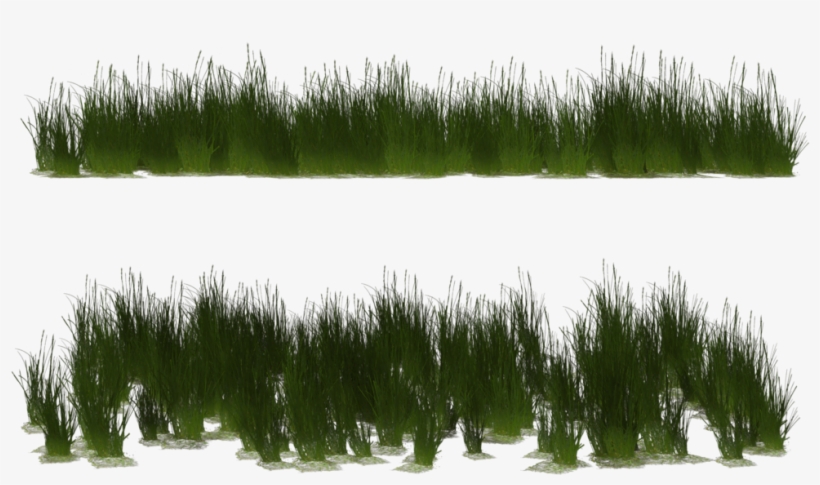 Transparent 3d Grass Png, transparent png download